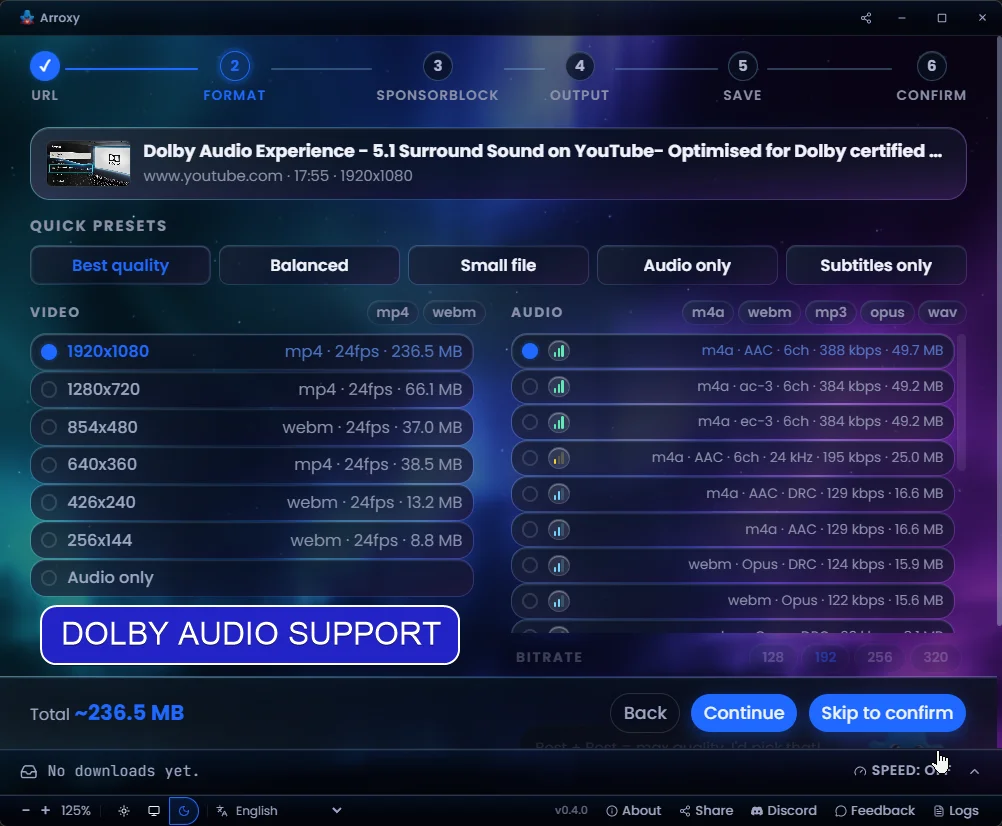 Surround / Dolby audio — 5.1 and Dolby tracks detected and preserved