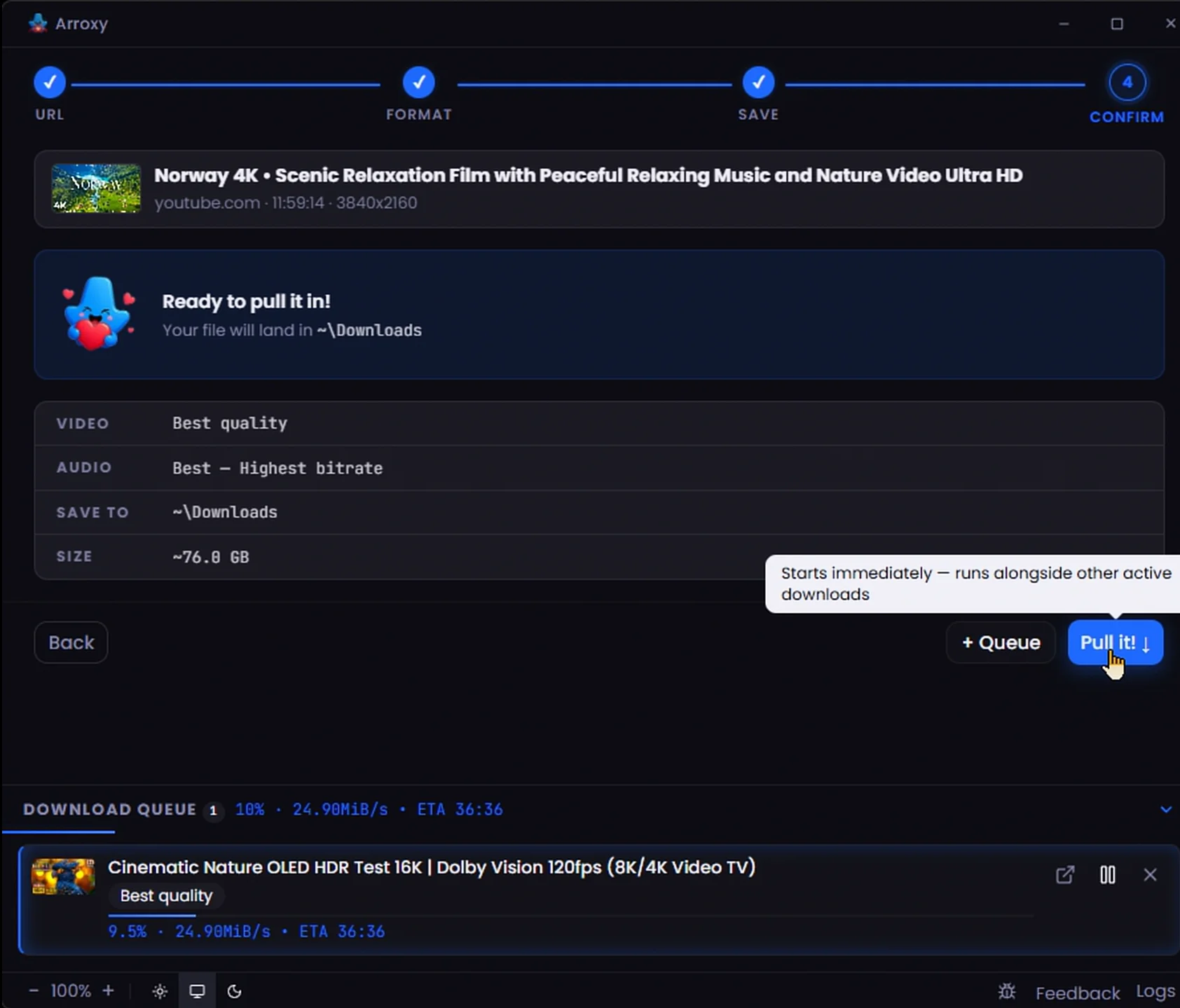Parallel download queue — Several downloads at once with live progress
